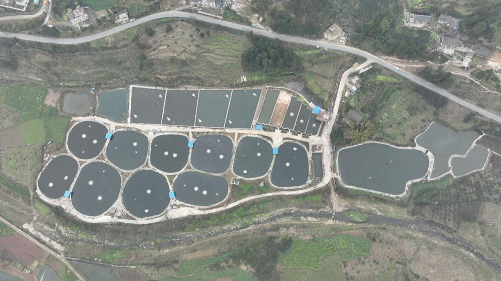 圖片1.jpg 圖片1.jpg